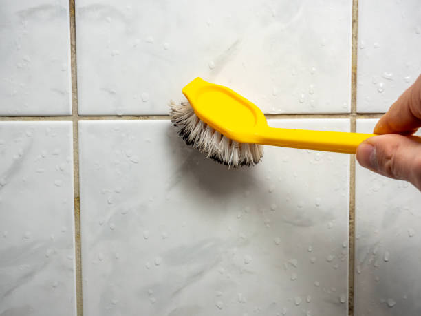 Best Mold Testing  in Westhaven Moonstone, CA