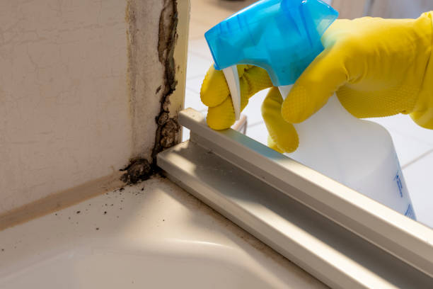 Best Emergency Mold Removal  in Westhaven Moonstone, CA