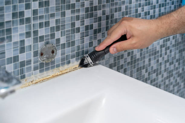 Best Same-Day Mold Removal  in Westhaven Moonstone, CA