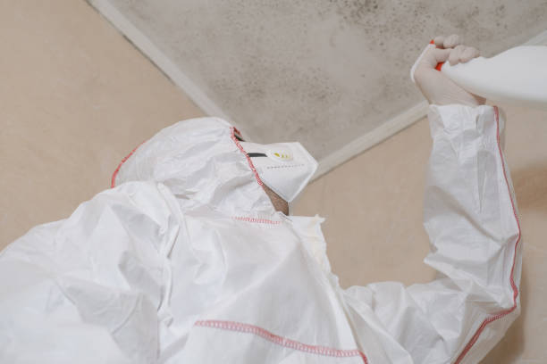 Best Mold Removal Near Me  in Westhaven Moonstone, CA