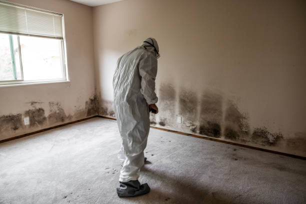 Best Residential Mold Removal  in Westhaven Moonstone, CA