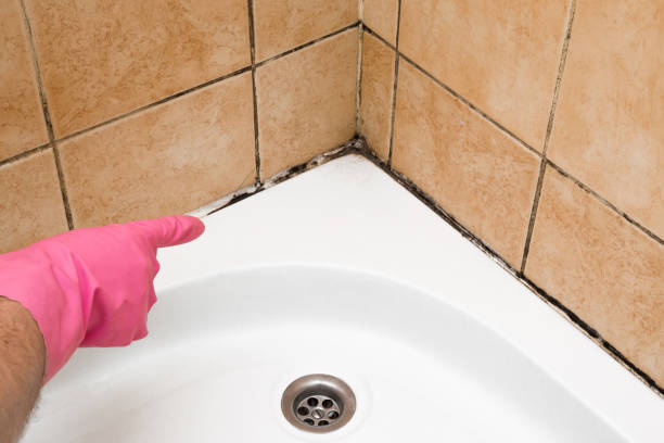 Best Fast Mold Removal  in Westhaven Moonstone, CA